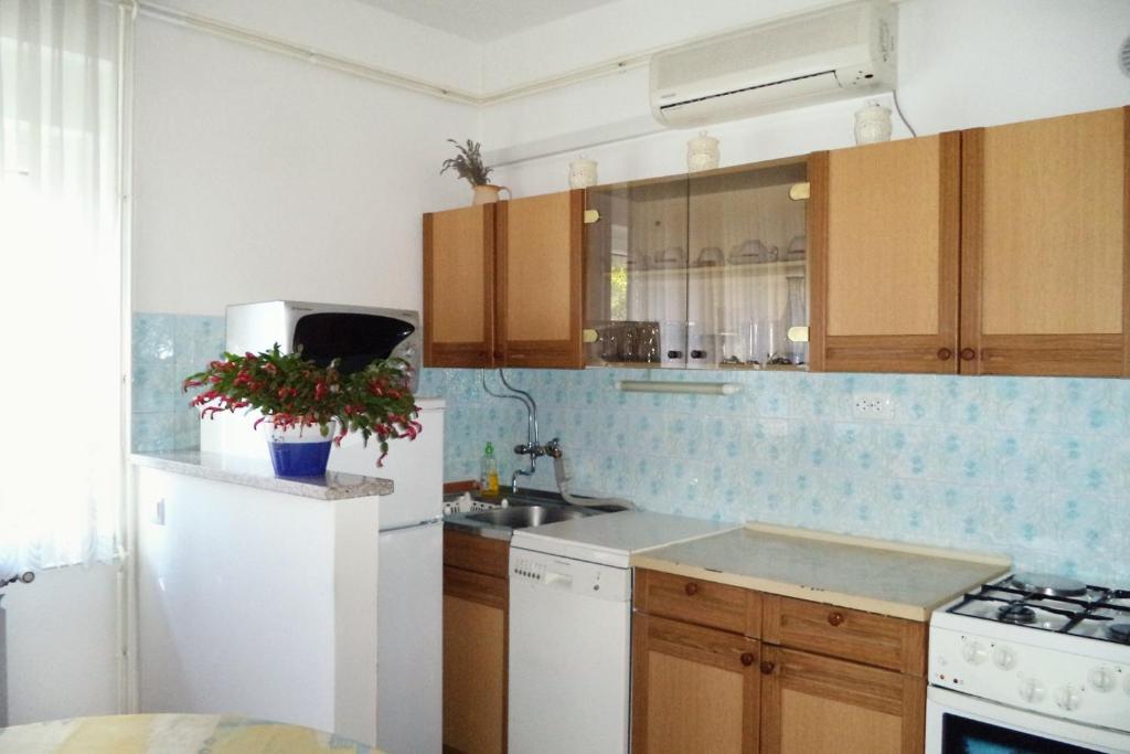 Kuchyň nebo kuchyňský kout v ubytování Apartments with a parking space Selce, Crikvenica - 5495