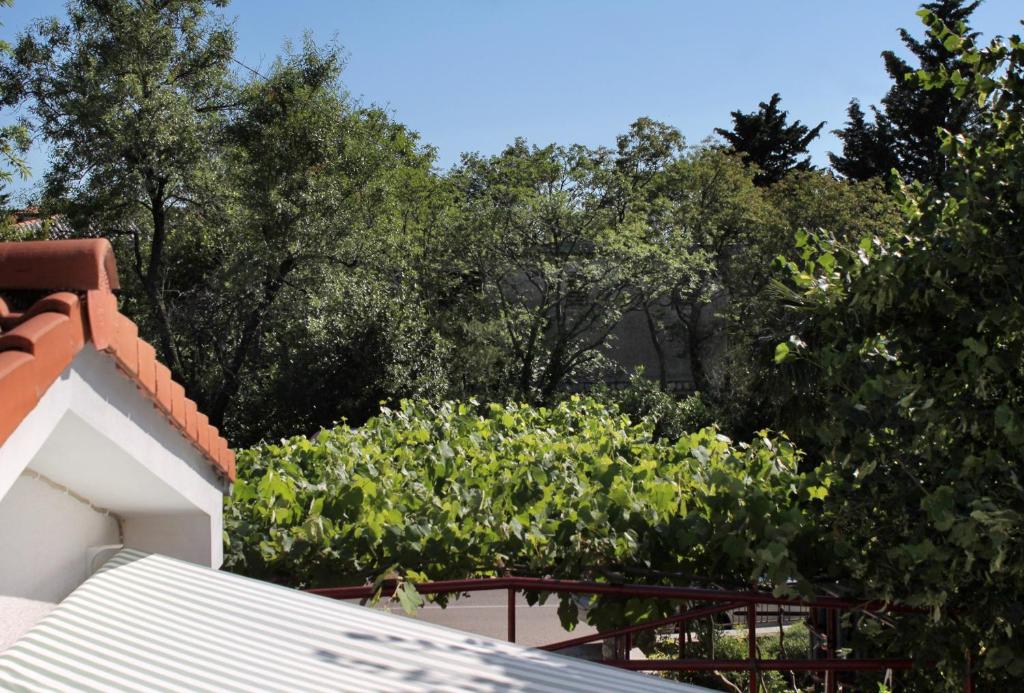 Zahrada ubytování Apartments with a parking space Selce, Crikvenica - 5495