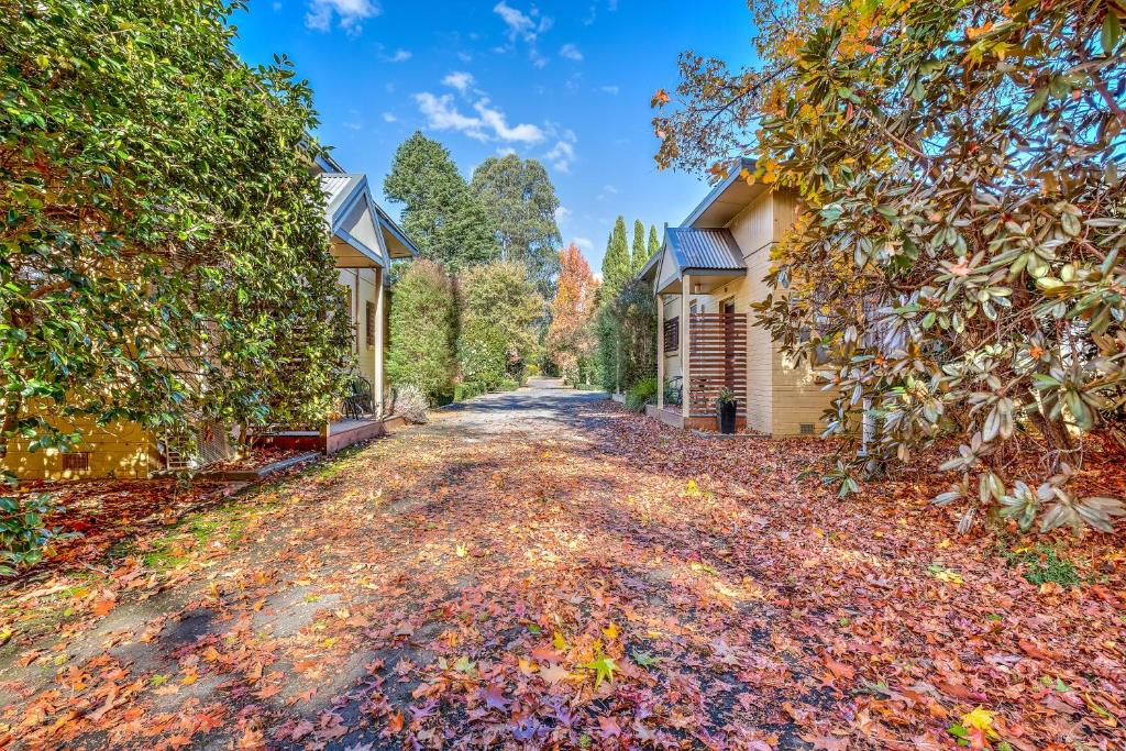 una entrada cubierta de hojas frente a una casa en Viewhill Holiday Units - Bright en Bright