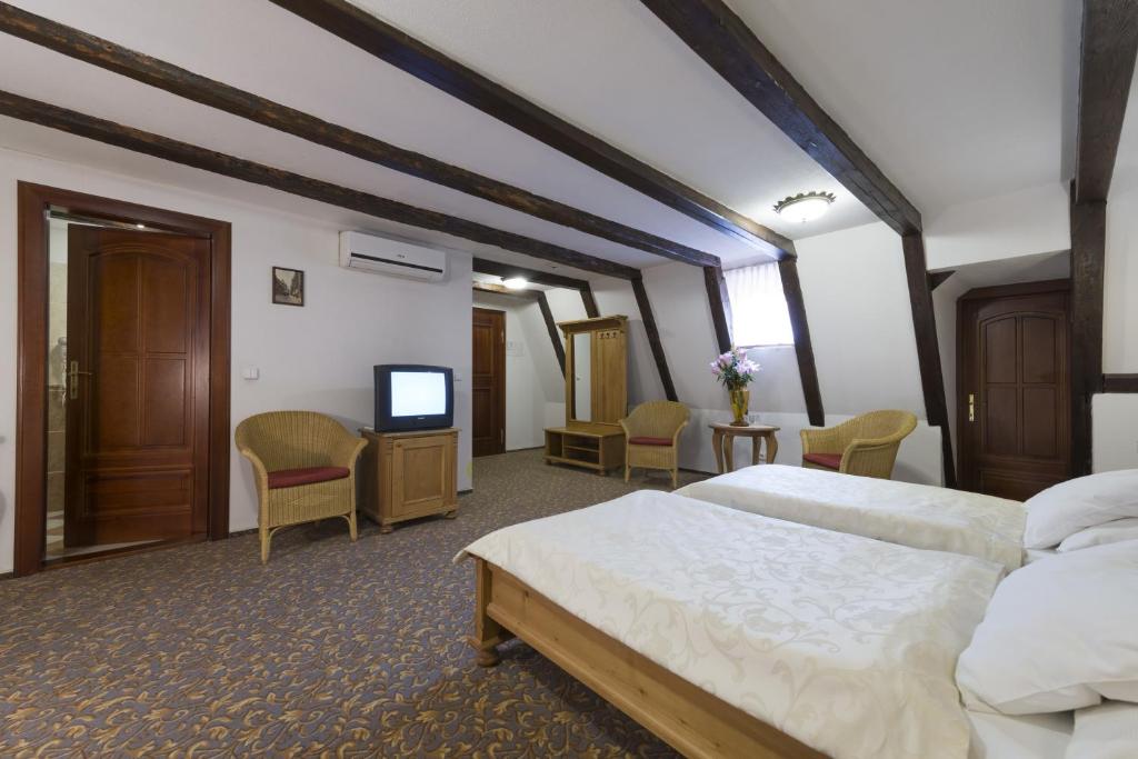 Hotel Cerny Slon - Resim 34