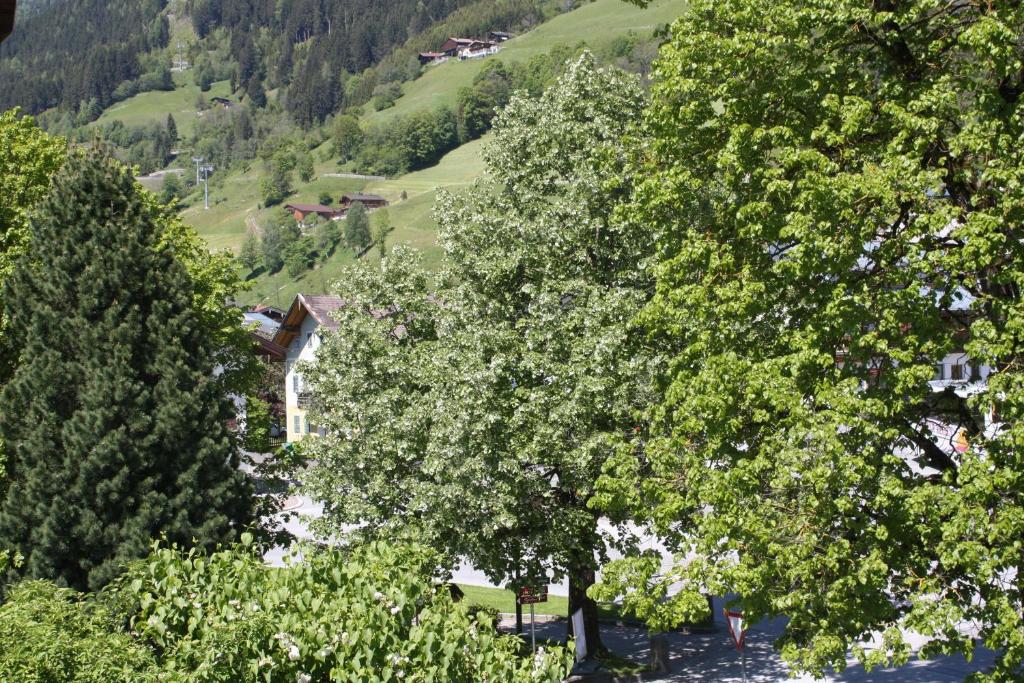 Príroda v okolí apartmánu