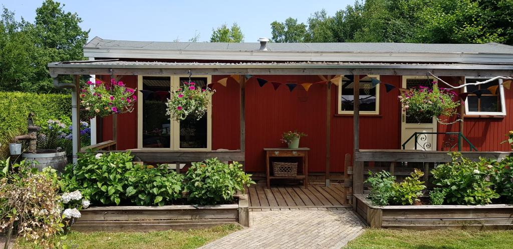 Chalet Pluk de Dag gezellig privacy rust en vlakbij Giethoorn
