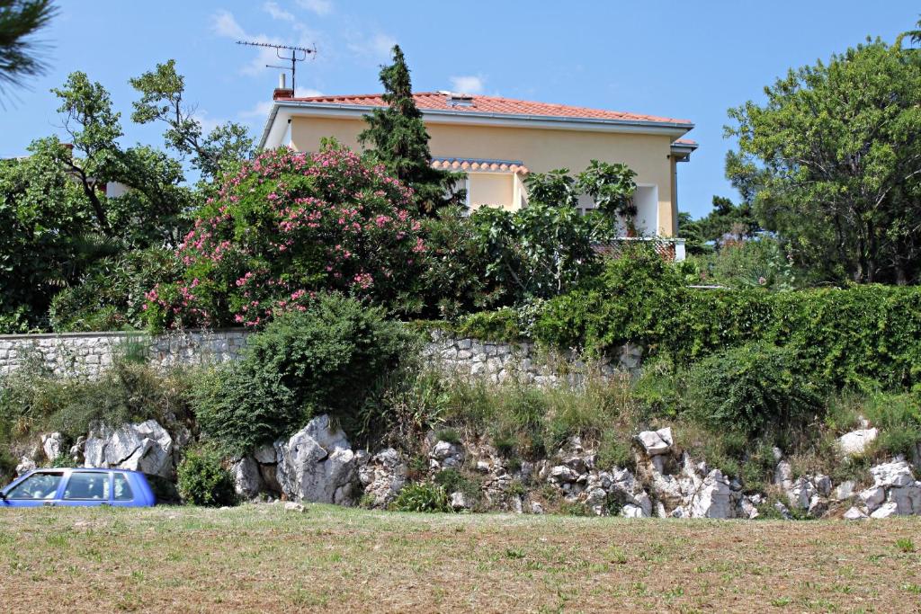 Zahrada ubytování Apartments by the sea Novi Vinodolski - 5558