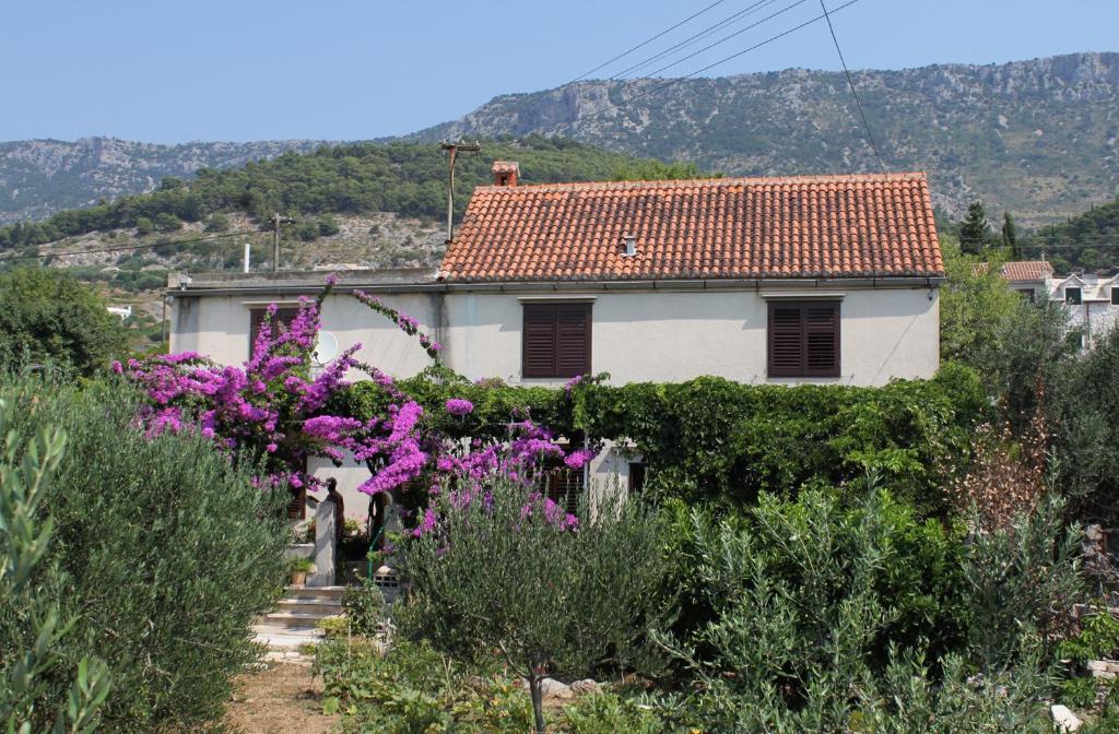 a house with purple flowers in front of it at Apartments with a parking space Bol, Brac - 5605 in Bol