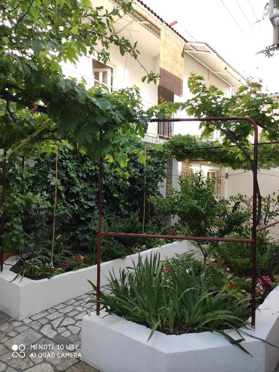 Zahrada ubytování Apartments by the sea Selce, Crikvenica - 5550