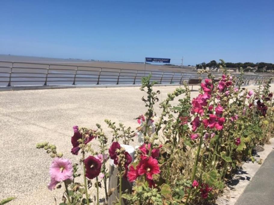 Fotografia z galérie ubytovania Le petit paradis en bord de mer Fouras les Bains v destinácii Fouras