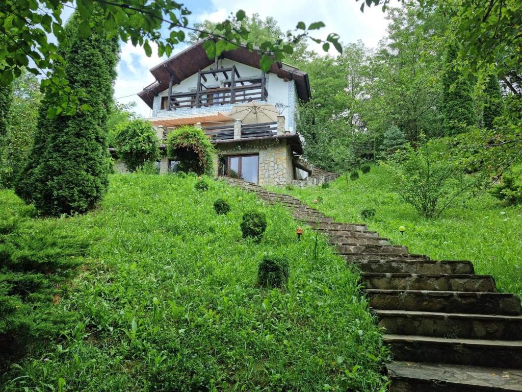 a house on a hill with stairs in front at VILA GIGI, ideala pentru relaxare si distractie! in Breaza