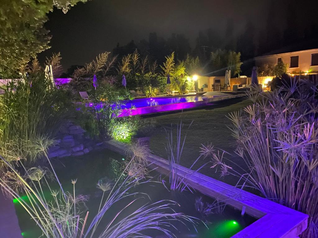 Le Mas des Mirabelles في Cabannes: حديقة مضاءة ليلا مع أضواء أرجوانية