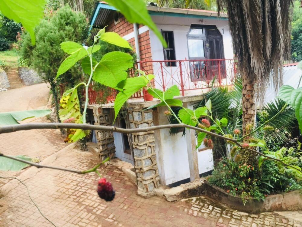 Gallery image of Steven and Dayness homestay in Lushoto