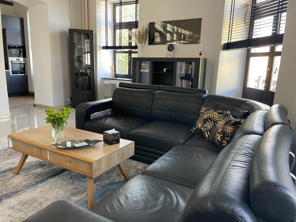 Χώρος καθιστικού στο Apartamenty Łuczkowskiego z widokiem na Studnię 1 102m2