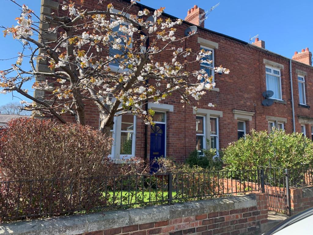 a brick house with a tree in front of it at Modern 3 bed house in the heart of Morpeth town. in Morpeth