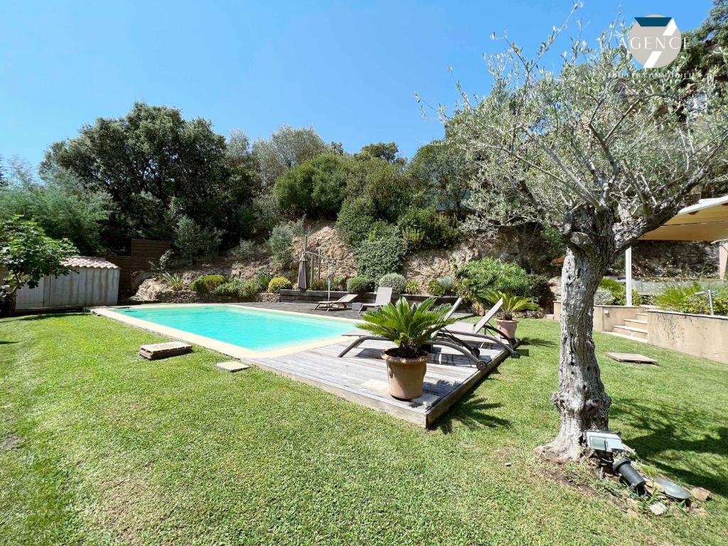 a swimming pool in a yard with a tree at Villa Gaïa in Sainte-Maxime