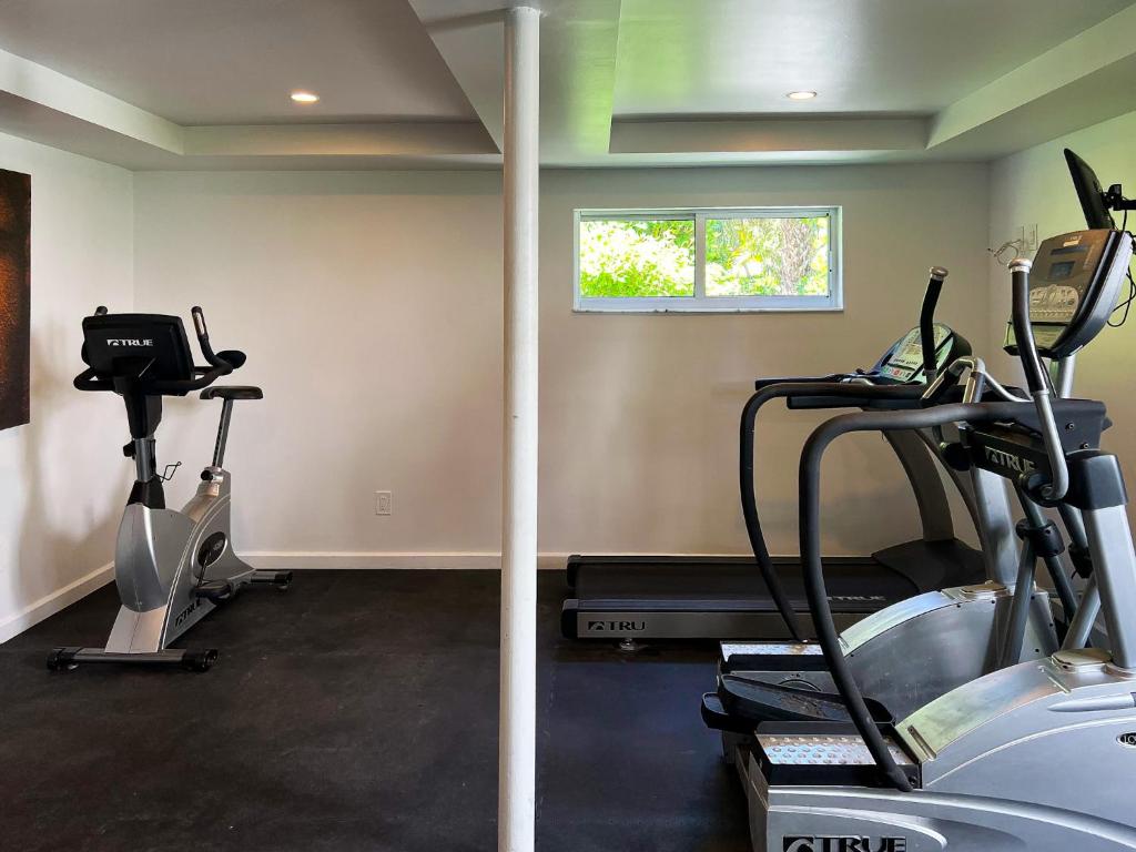 Fitness centrum a/nebo fitness zařízení v ubytování Royal Palms Resort & Spa