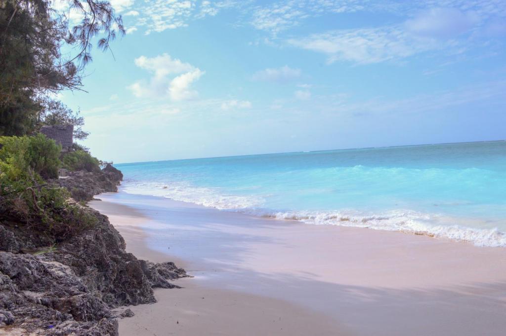 a beach with the ocean and a blue sky at Zanzi Rest Bungalow in Nungwi