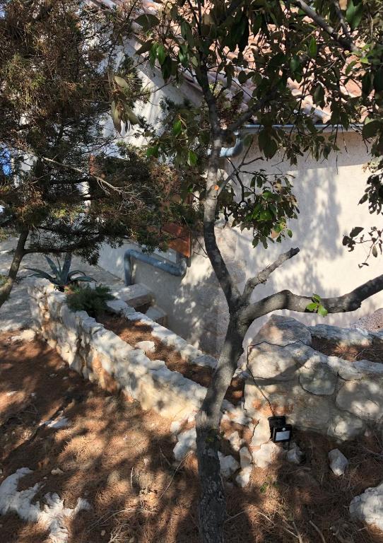 Φυσικό τοπίο κοντά σε αυτή η παραθεριστική κατοικία
