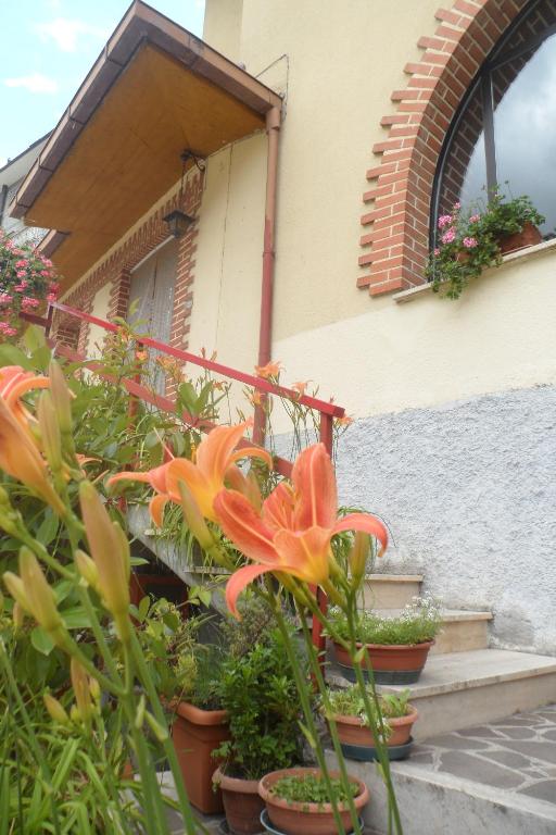 Zahrada ubytování Grotta dei Colombi
