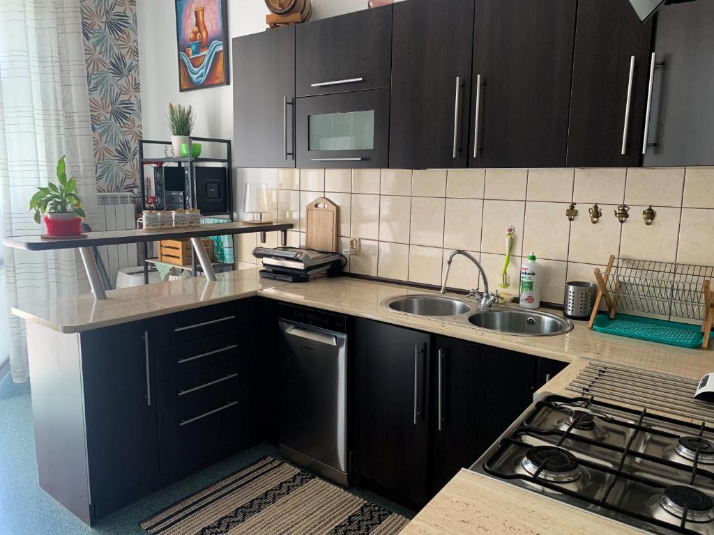 uma cozinha com armários pretos e um lavatório em Apartament przy Dworcu em Radom