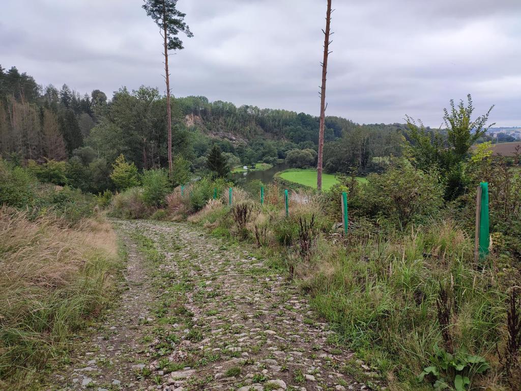 a dirt road in the middle of a field at Chata Štěpánka u řeky Sázavy in Ledeč nad Sázavou