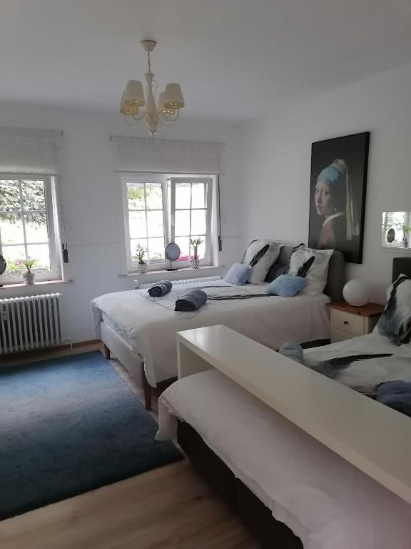 een slaapkamer met 2 bedden en een blauw tapijt bij Les studios du Domaine d'Eva in Libramont