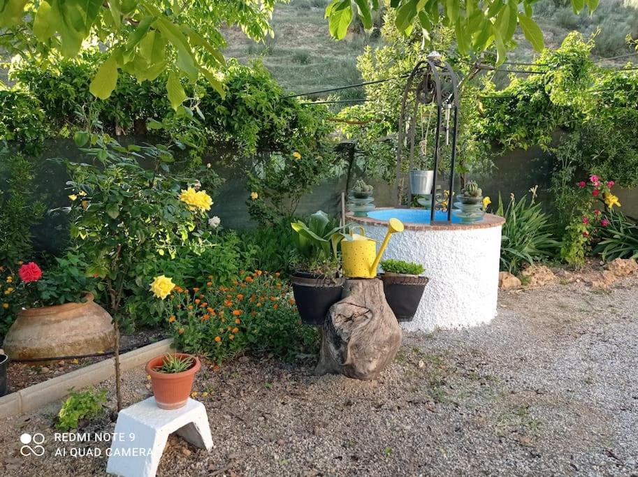 Zahrada ubytování Vivienda Rural Belén