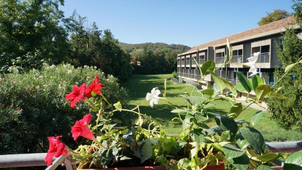 a garden with flowers and a building in the background at Valmarana Morosini Hotel in Altavilla Vicentina