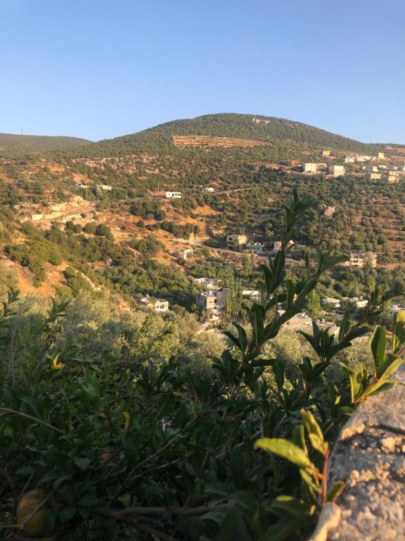 vistas a la ciudad desde una montaña en ORJAN VIEW, en Irjān
