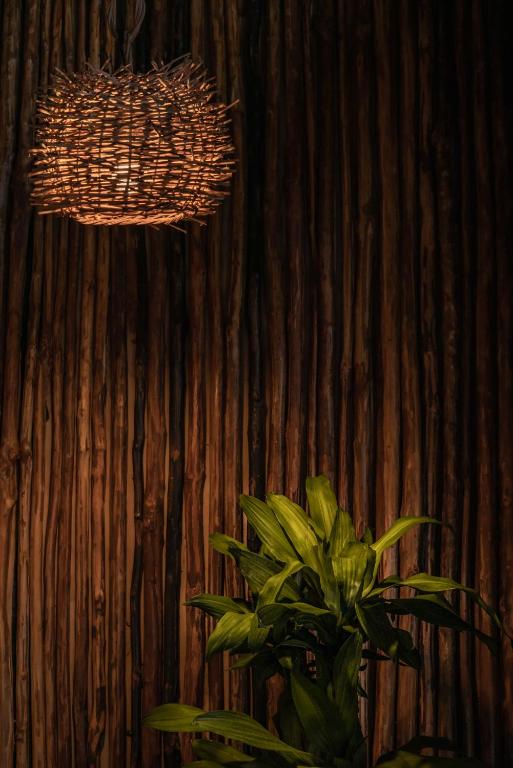 Fotografie z fotogalerie ubytování Casa Hayhu v destinaci Mahahual