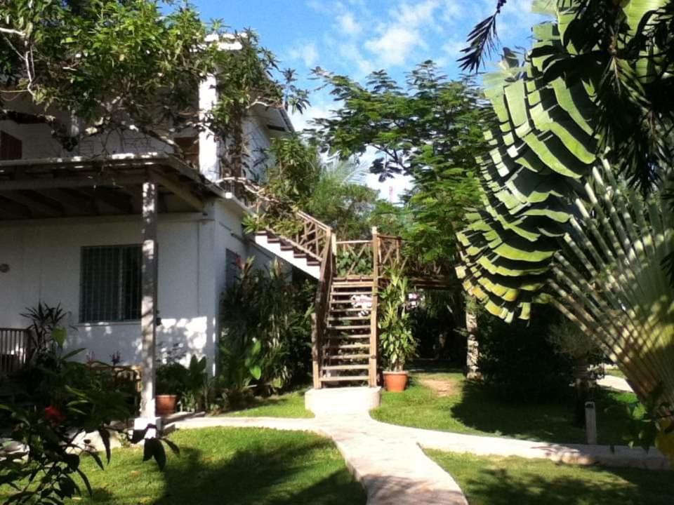 un escalier menant à l'arrière d'une maison dans l'établissement BlueBelize B&B, à Punta Gorda
