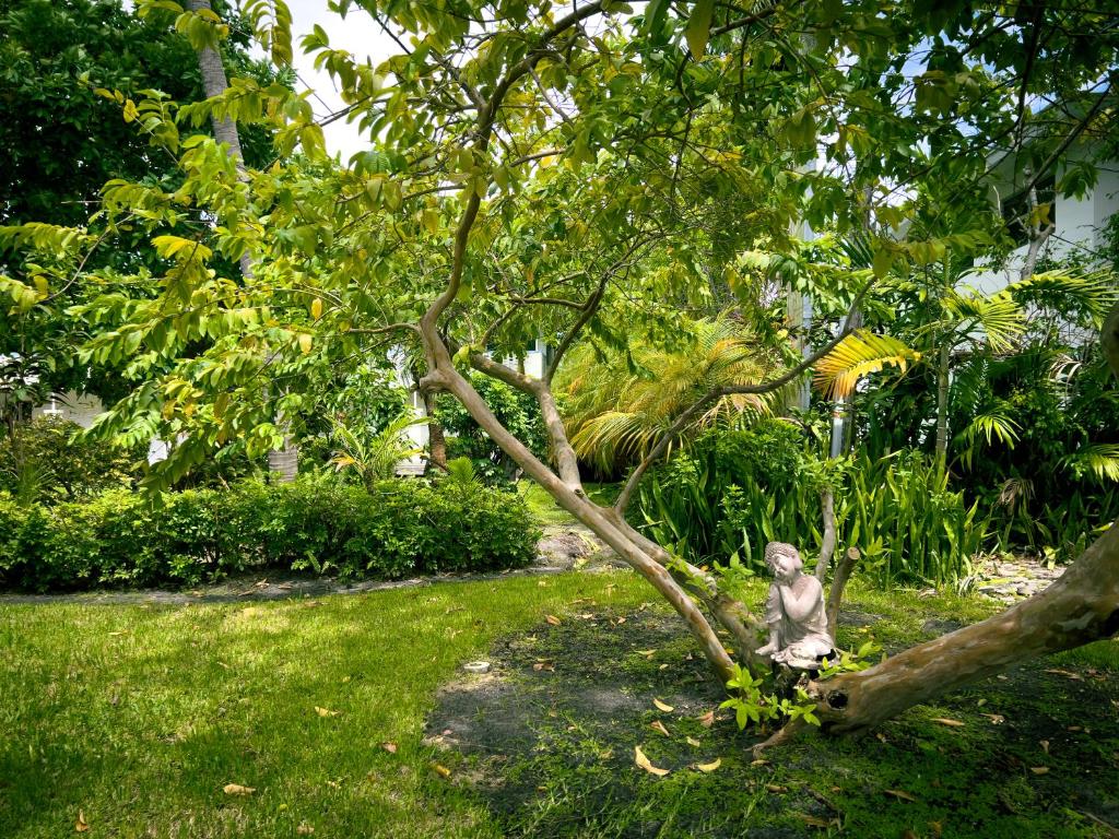 Zahrada ubytování Beach Gardens
