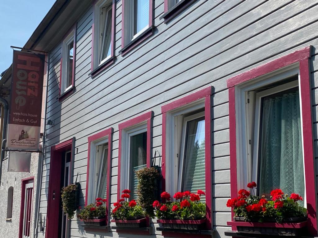 a building with red flowers in window boxes at Harz House in Trautenstein