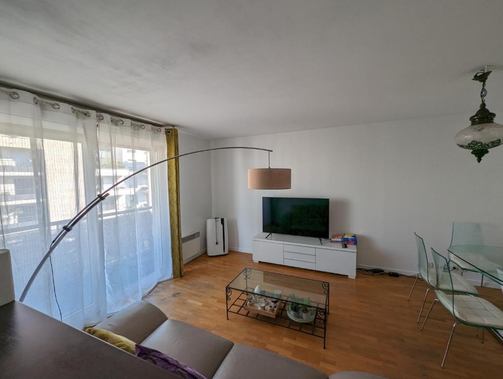 een woonkamer met een bank en een tv bij Appartement lumineux Seine, île St-Germain, proche Porte de Versailles et la Défense in Issy-les-Moulineaux