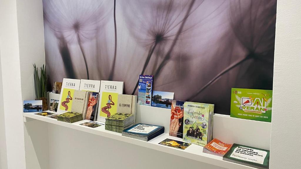 Camiño da Praia - 12