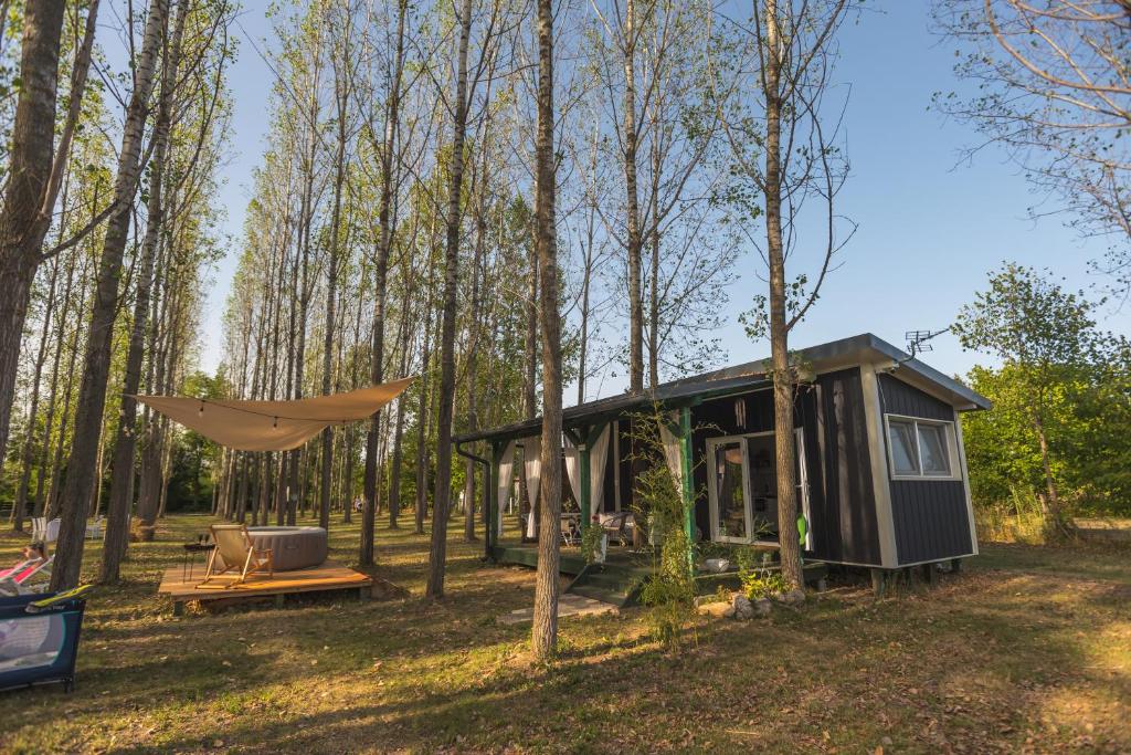 Drina River Glamping في لوزنيكا: منزل صغير في الغابة مع أرجوحة