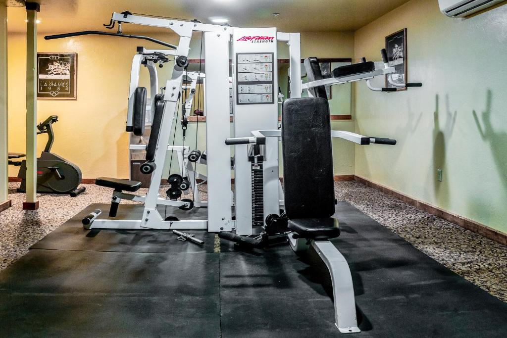 Fitness centrum a/nebo fitness zařízení v ubytování Callahan's Mountain Lodge