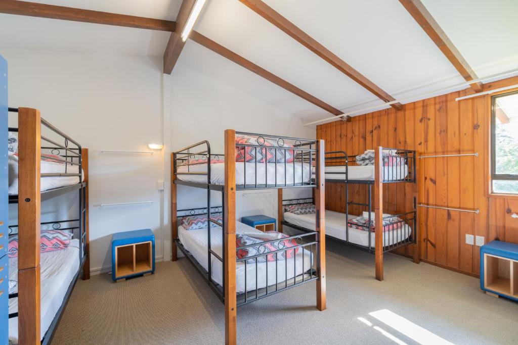Te Anau Central Backpackers - Resim 8