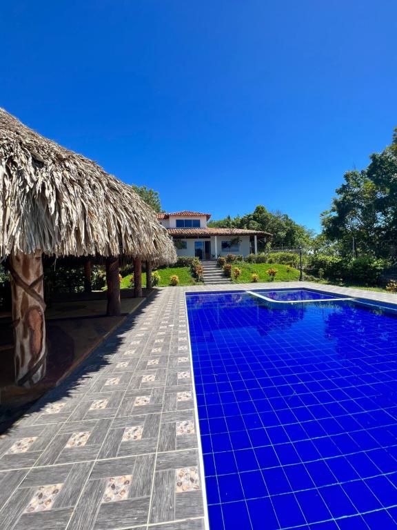 a villa with a swimming pool and a thatch roof at Villa Celeste in Doradal