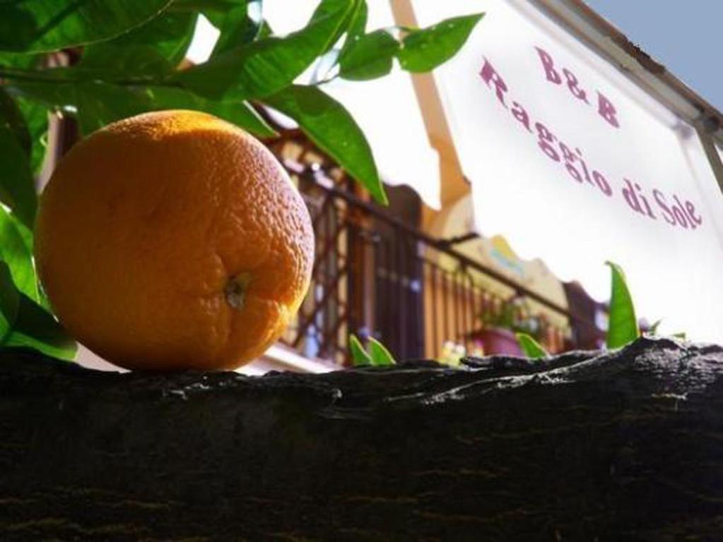 an orange sitting on top of a tree at B&B Raggio Di Sole in Trevignano Romano
