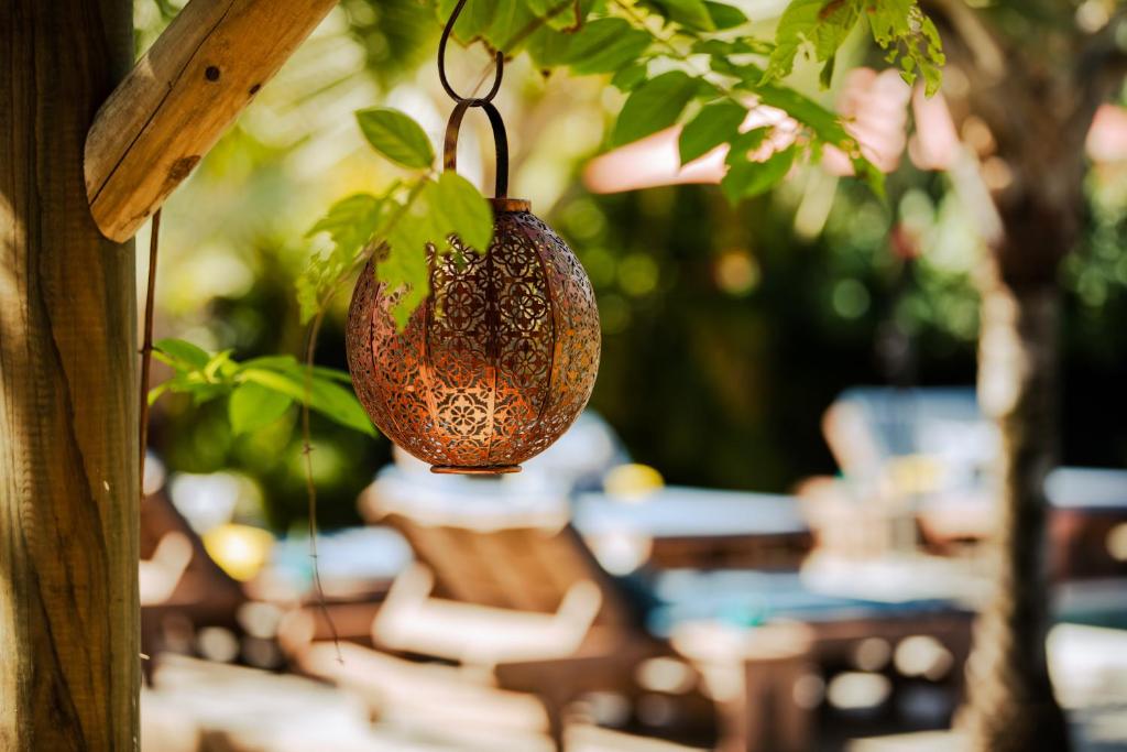 Zahrada ubytování The Good Life - Eco Lodges & Serenity Boutique Hotel - Adults Only