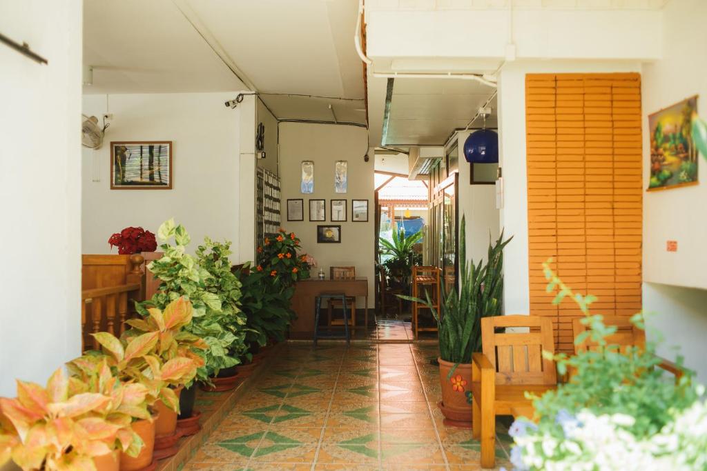a room filled with lots of potted plants at Nu Phen Homestay in Chiang Mai