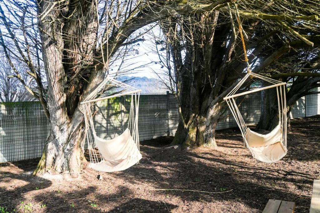 two hammocks hanging from two trees in a yard at Résidence Le Lenn-louannec - Maisons &amp; Villas pour 6 Personnes 784 in Lannion
