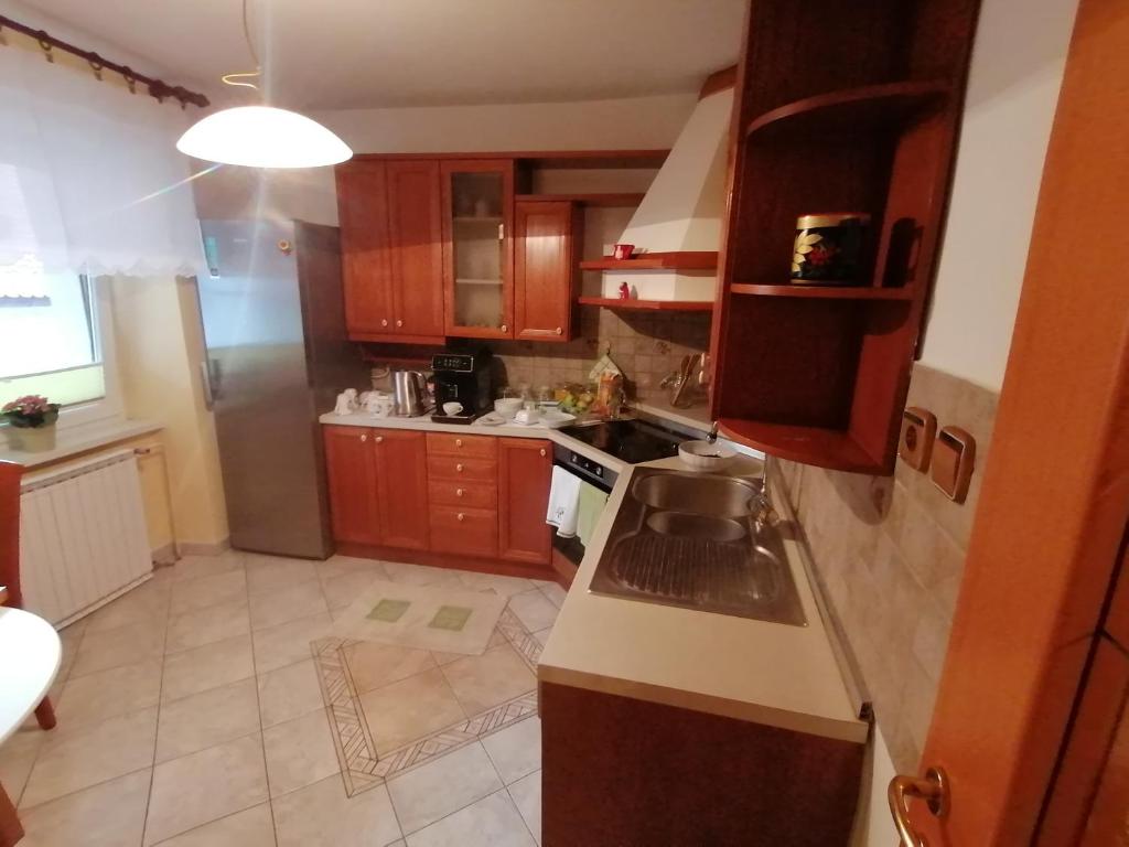 Kuchyň nebo kuchyňský kout v ubytování APARTMA ŽELE
