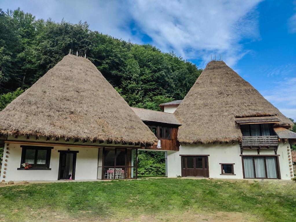 two houses with thatched roofs with a mountain in the background at Casa Catrinei 