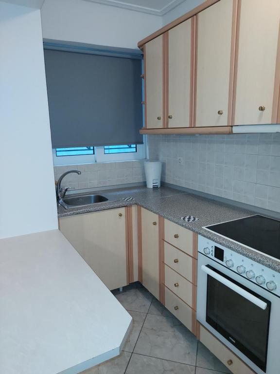 Kuchyňa alebo kuchynka v ubytovaní ADLER 5 COZY ATHENS DOWNTOWN STUDIO