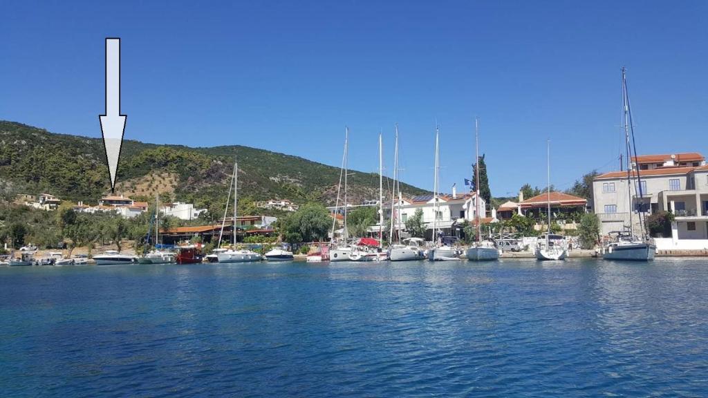 a bunch of boats are docked in a harbor at Chelidonia in Steni Vala Alonissos