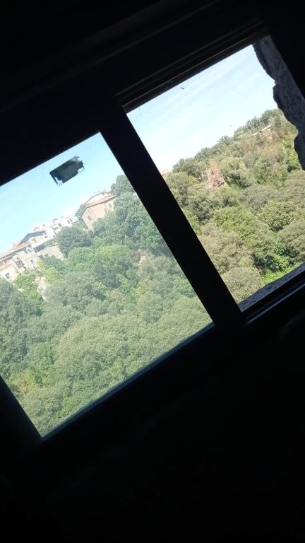 Táj az apartman közelében
