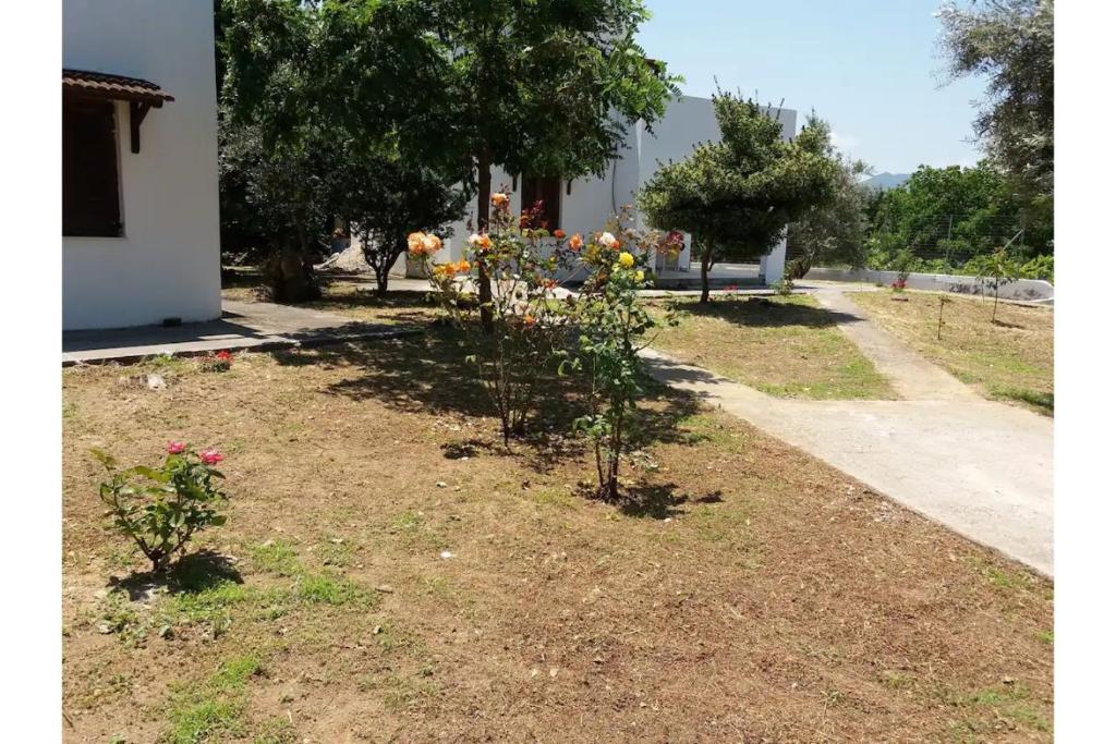 einen Garten mit Blumen in einem Hof neben einem Haus in der Unterkunft Μaria's house 1 in Edipsos