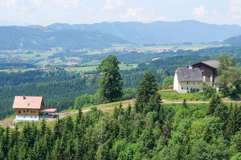 eine Gruppe von Häusern auf einem Hügel mit Bäumen in der Unterkunft Hochfelner-Prutti - Stockerhof in Sankt Marein bei Knittelfeld