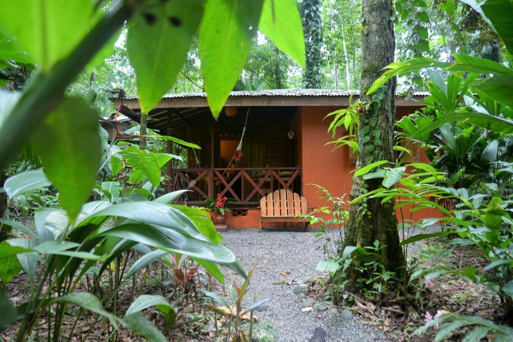 Zahrada ubytování Pachamama Jungle River Lodge - Punta Uva