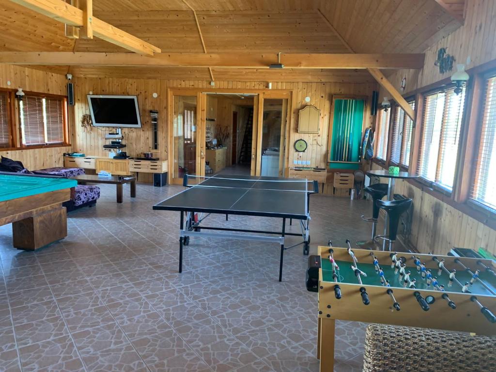 Stolní tenis v ubytování Pensiunea Pagaya nebo okolí