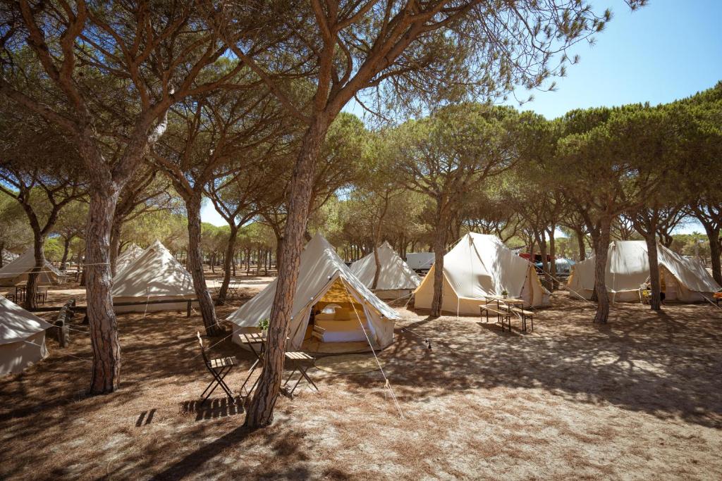 Příroda nedaleko luxury tent